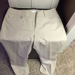 New York and company dress pants