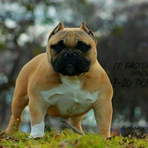 Meet your Posher, Brenda