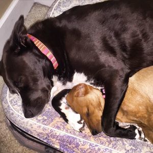 Meet your Posher, Miari