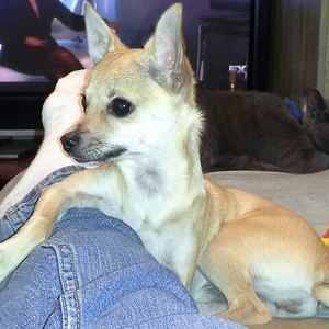 Meet your Posher, Lea