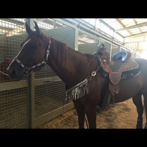 Meet your Posher, Tammy