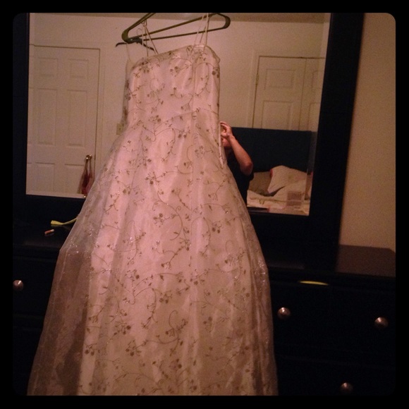 Dress (prom/wedding)