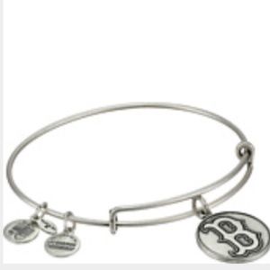 Silver Alex and Ani
