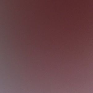 Meet your Posher, Rodrigo