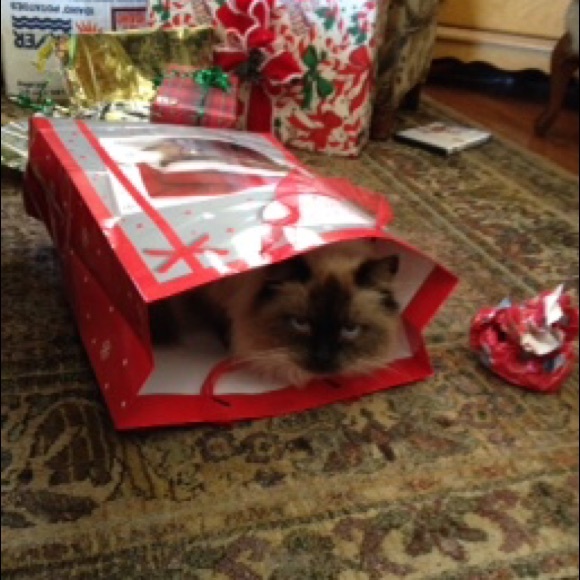 Now offering a surprise with every purchase!