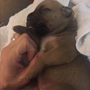 Meet your Posher, Stacy