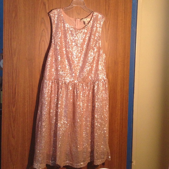 Dusty Rose Sequin Dress