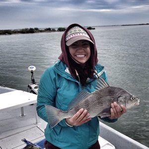 Meet your Posher, Autumn