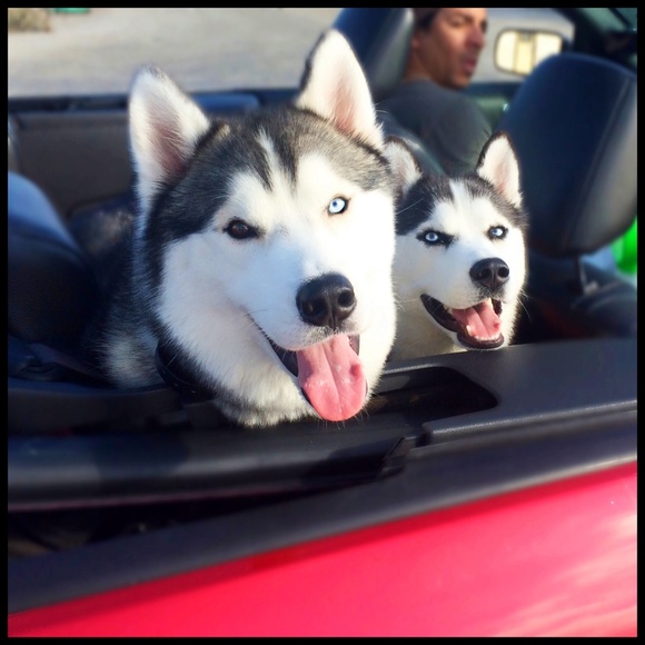 Meet your Posher, Sarieha - Picture 2 of 4