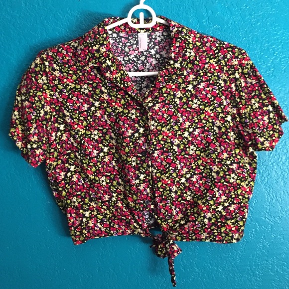 American apparel collar crop top