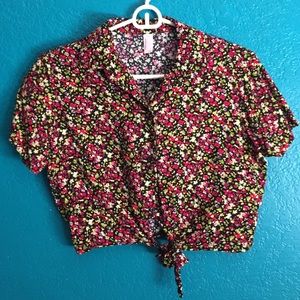 American apparel collar crop top