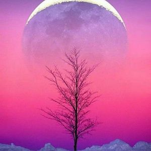 Meet your Posher, Annie