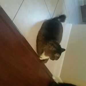 Meet your Posher, Joshua