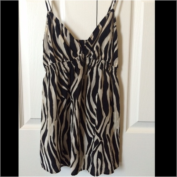 Zebra design by Express Studio.