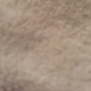 Meet your Posher, Ashleigh