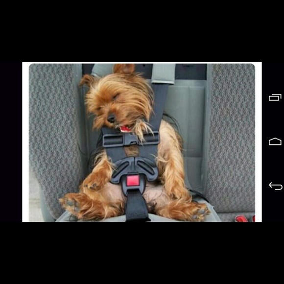 Meet your Posher, Regina - Picture 1 of 1