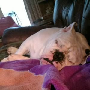 Meet your Posher, Dee