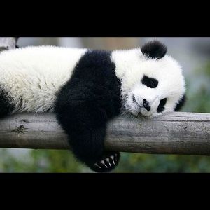 Meet your Posher, Judith