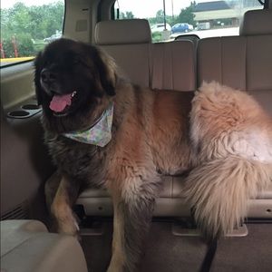 Meet your Posher, Jane