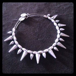 Alex & Ani Spikes of Courage Rafaelian Silver