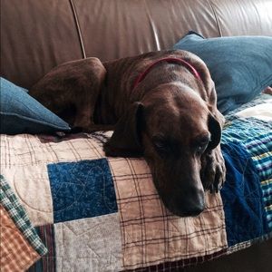 Meet your Posher, Ann