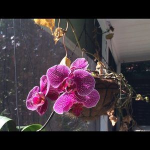 Meet your Posher, Gined