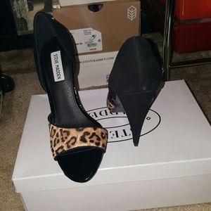 Leopard Print Steve Madden