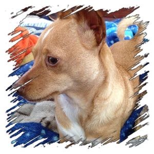 Meet your Posher, Sharon