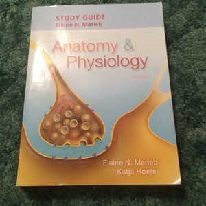 Anatomy and Physiology Study Guides