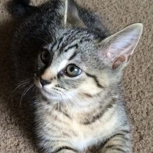 Meet your Posher, Malinda