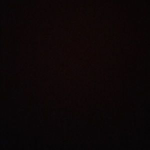 Meet your Posher, Mackenzie