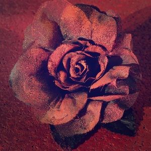 Painted rose barette