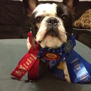 Meet your Posher, Christian