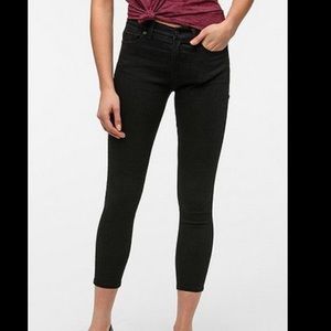 BDG mid rise twig grazer