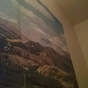 Meet your Posher, Kat