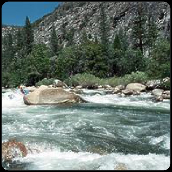 Meet The Posher - Picture 3 of 5