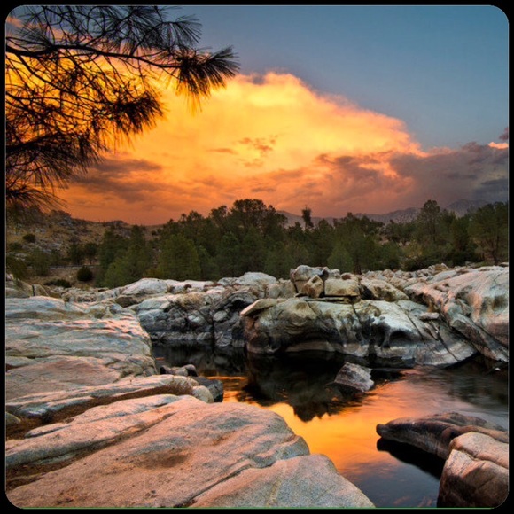 Meet The Posher - Picture 4 of 5