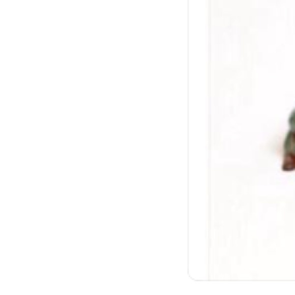 Meet your Posher, Tabitha - Picture 1 of 1