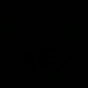 Meet your Posher, Mari