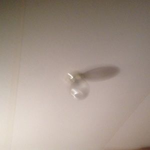 Meet your Posher, Donny