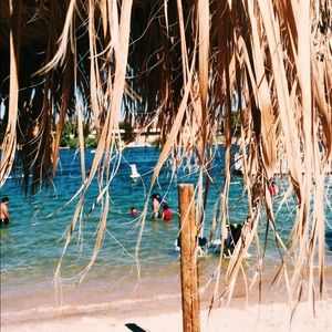 Meet your Posher, Kai