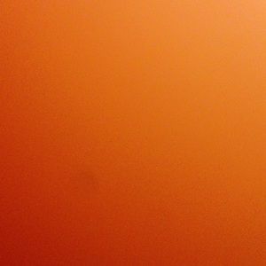 Meet your Posher, Ally