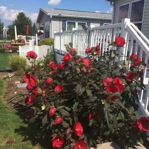 Meet your Posher, Kathy