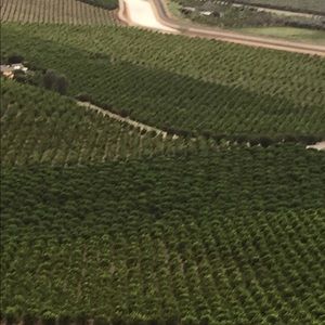 Meet your Posher, Mueen