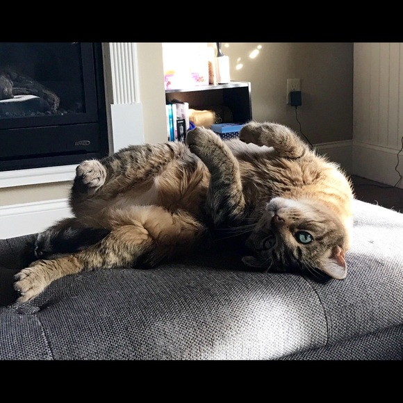 Meet your posher, Danielle! - Picture 4 of 5