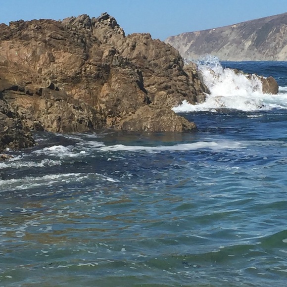 Meet your Posher, Crystal - Picture 4 of 5