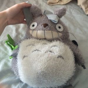Plushy Totoro backpack from Taiwan!