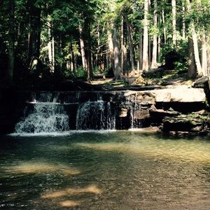 Meet your Posher, Fiona