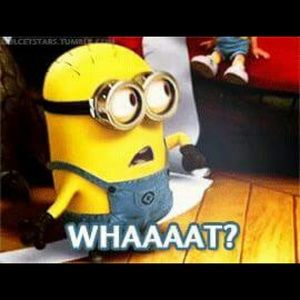 Meet your Posher, Paul