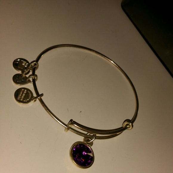 Amethyst Birth Stone Alex&Ani Bracelet